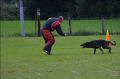 2013 annemasse Falko gaf4 (Copier).jpg